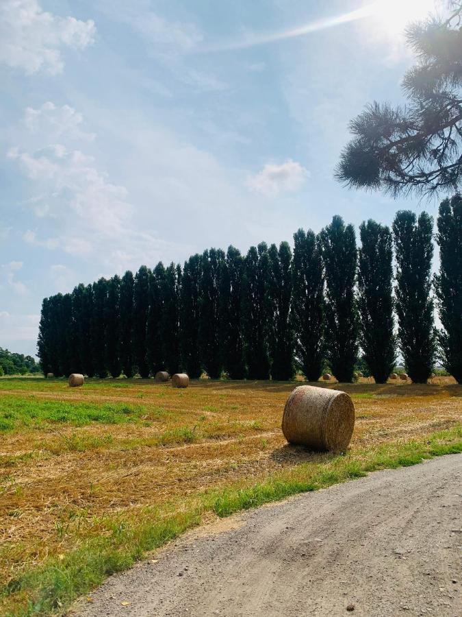 Appartamento Tra Verde E Citta Bologna Eksteriør bilde
