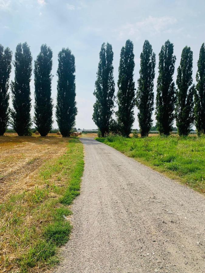 Appartamento Tra Verde E Citta Bologna Eksteriør bilde