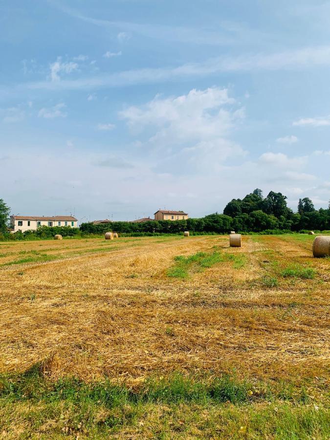 Appartamento Tra Verde E Citta Bologna Eksteriør bilde